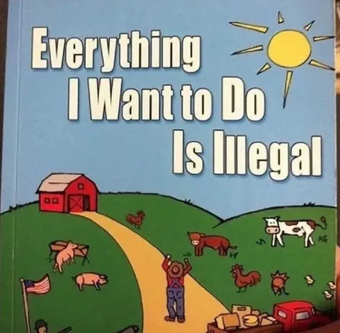 Everything I Want to Do Is Illegal