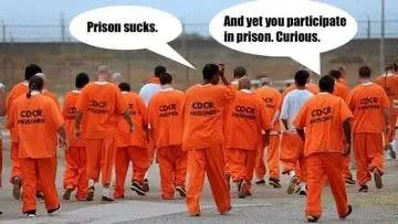 Prison Participation Is Curious