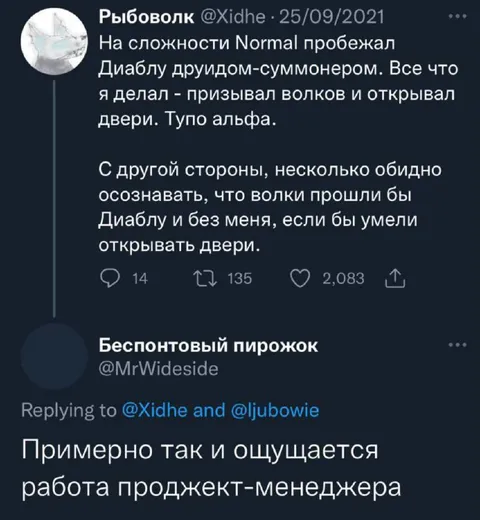 Работа проект-менеджера как Diablo-друид