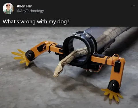 What's Wrong With My Dog?