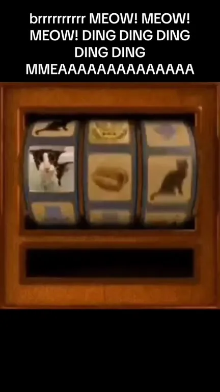 Cat Slot Machine Jackpot