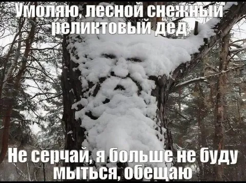 Лесной снежный дед не моется