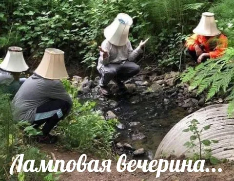 Ламповая вечеринка в лесу