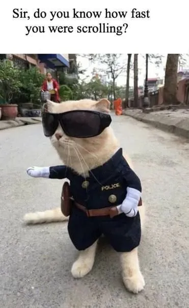 Scrolling Police Cat