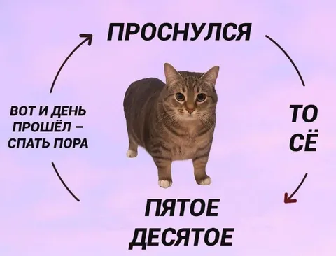 Проснулся — уже спать пора