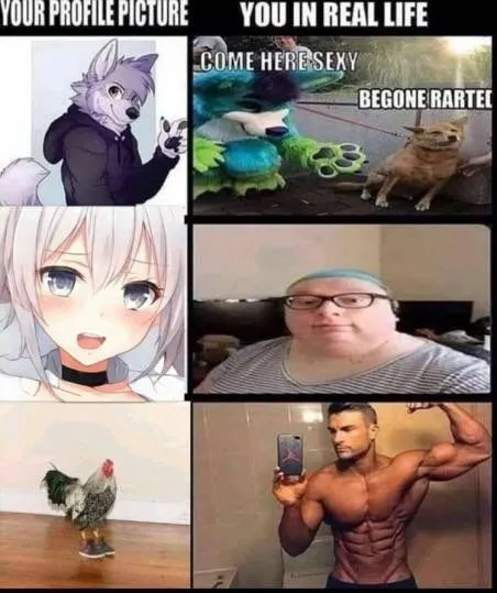 Your Profile Picture vs Real Life