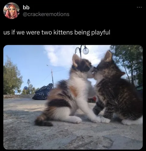 Two Kittens Being Playful