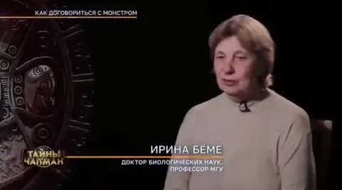 Птица с яйцами в сумке