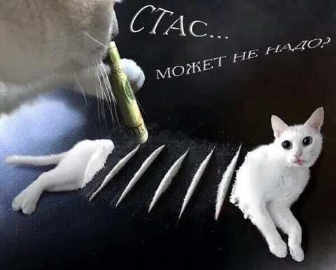 Стас, может не надо?