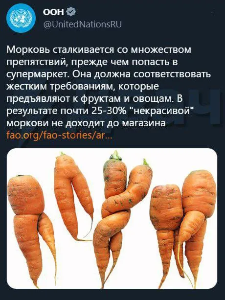 Некрасивые морковки не попадут в супермаркет