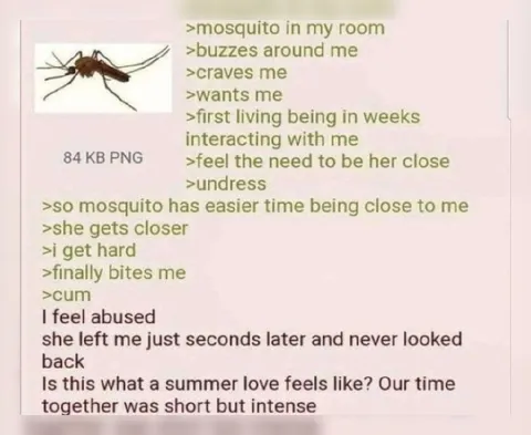 Mosquito Summer Love