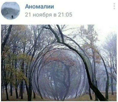 Лесная аномалия