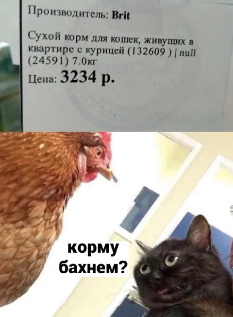 Корм с курицей для кота