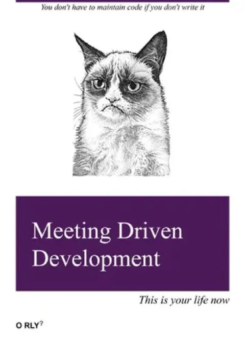 Meeting Driven Development Grumpy Cat