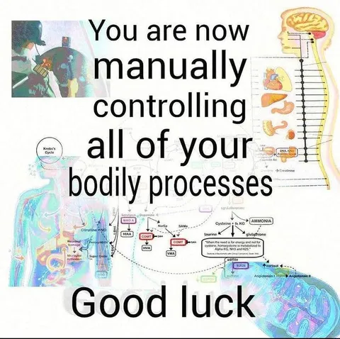 You Are Now Manually Controlling Everything