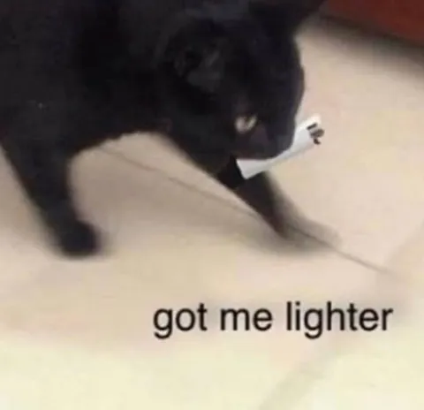 Black Cat Got Me Lighter