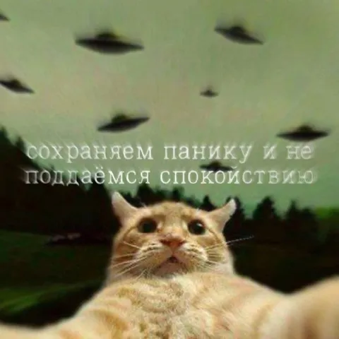 Сохраняем панику и не спокойствуем