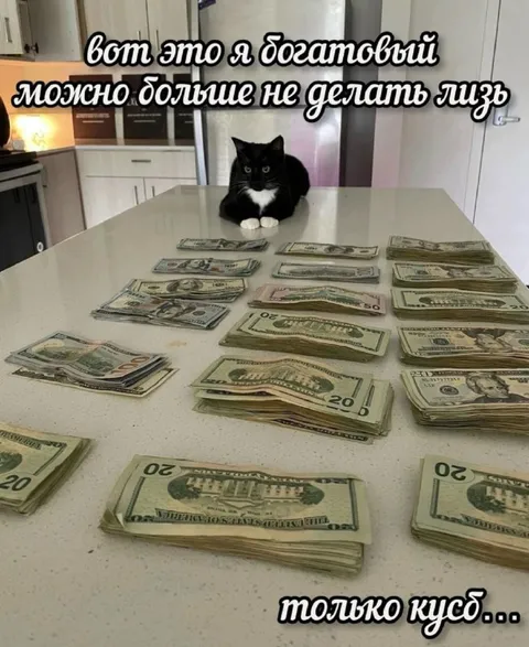 Богатый кот с деньгами