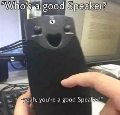 Good Speaker Compliment