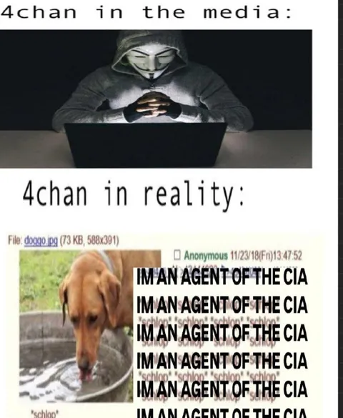 4chan in the Media vs Reality