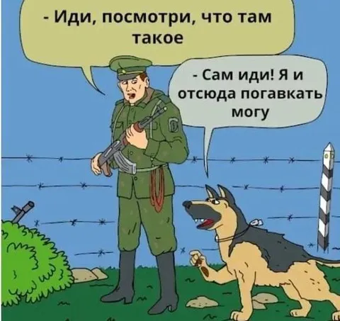 Пограничник и собака у границы