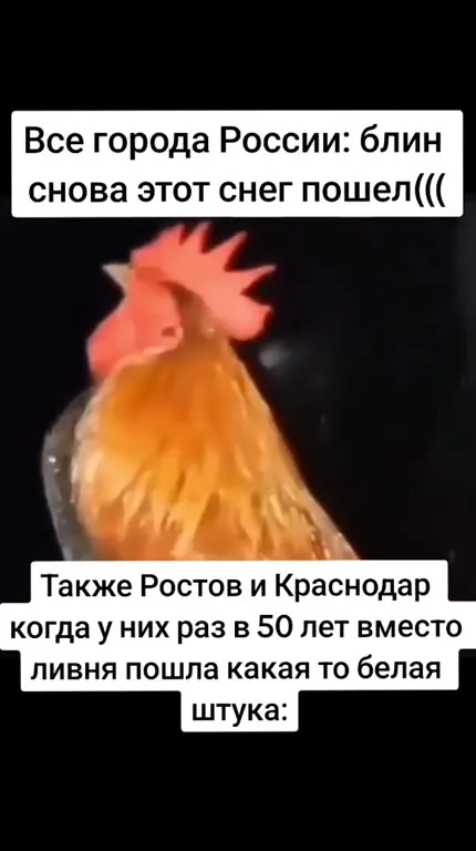 Снег снова пошёл