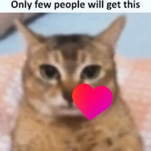 Only Few People Will Get This Cat