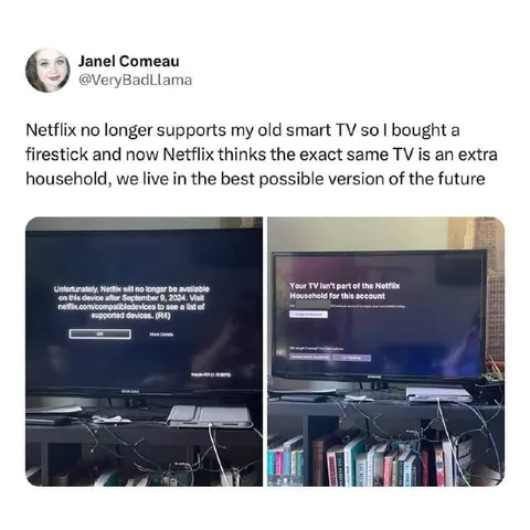 Netflix thinks the TV is extra