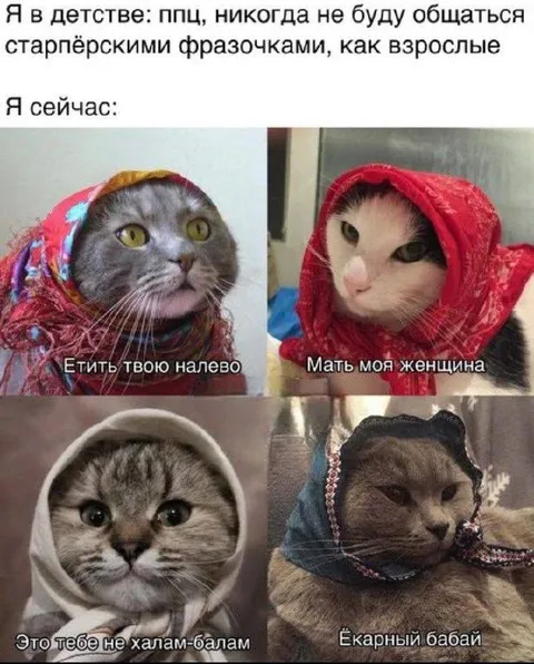 Когда начал говорить как старпёр