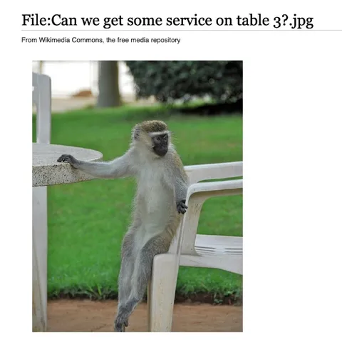 Monkey Waiting for Table Service