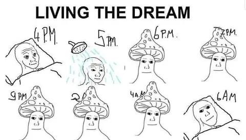 Living the Dream Mushroom Sleep Schedule