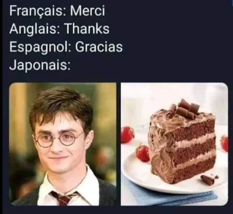 Japanese Thank You Rebus
