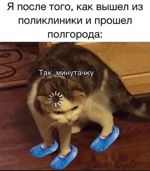 Кот после поликлиники