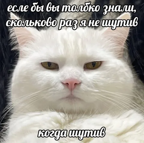 Белый кот, который не шутит