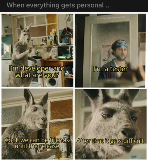 Developer Meets Tester