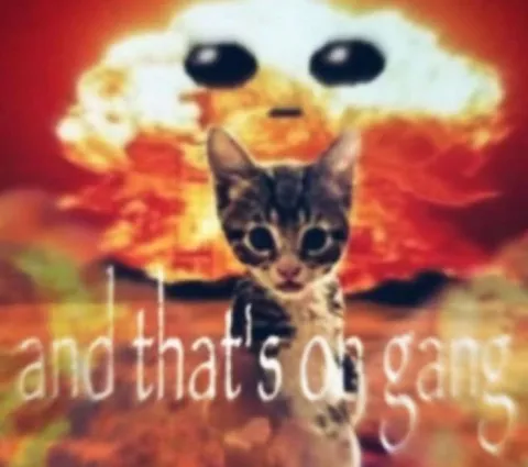 And That's on Gang Cat