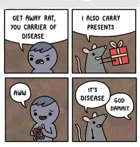Rat Carries Disease Presents