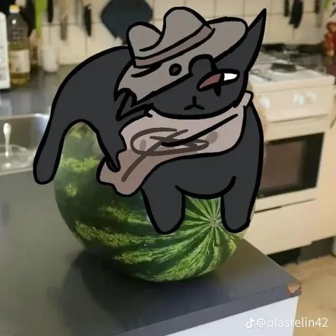 Ковбой-кот на арбузе