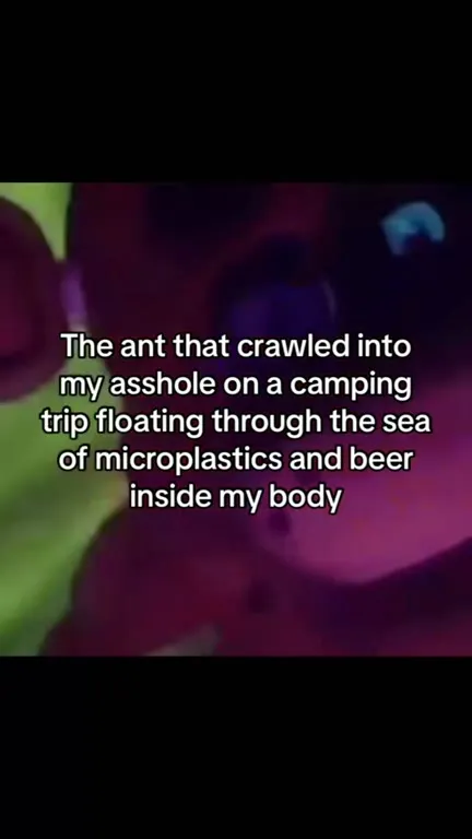 Ant Swimming Through Microplastics