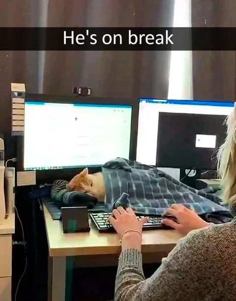 He's On Break at Work