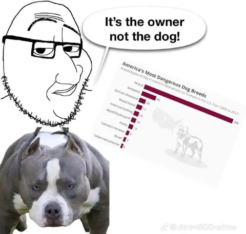It’s the Owner, Not the Dog