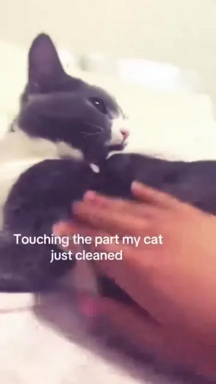 Touching the Cleaned Spot