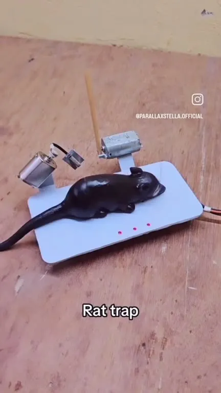 Rat Trap Turns Into Rat Girl