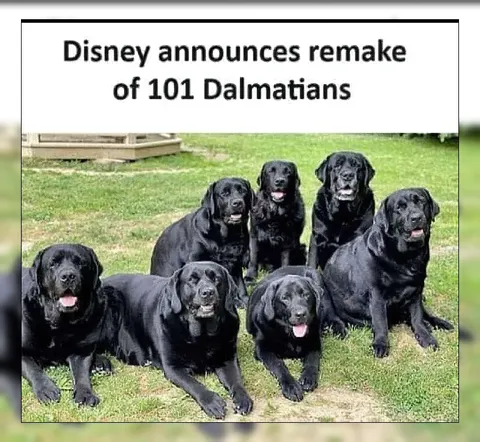 Disney Announces 101 Dalmatians Remake