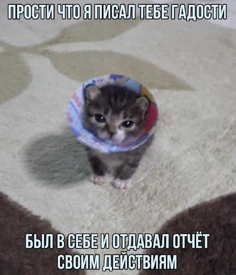 Котёнок отвечает за гадости