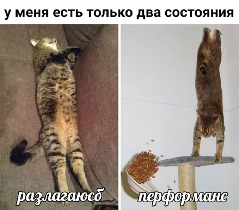 У меня только два состояния