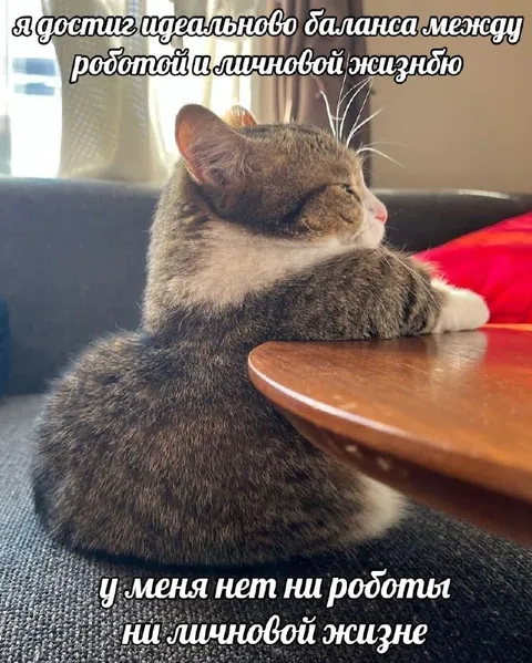 Идеальный баланс работы и жизни