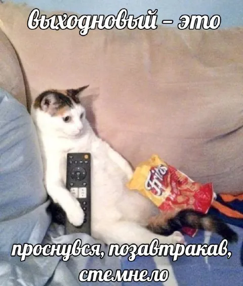 Выходной с чипсами