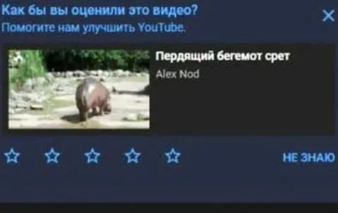Пердащий бегемот срет