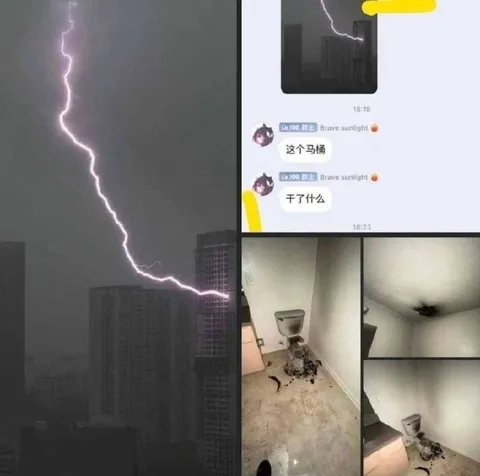 这个马桶干了什么